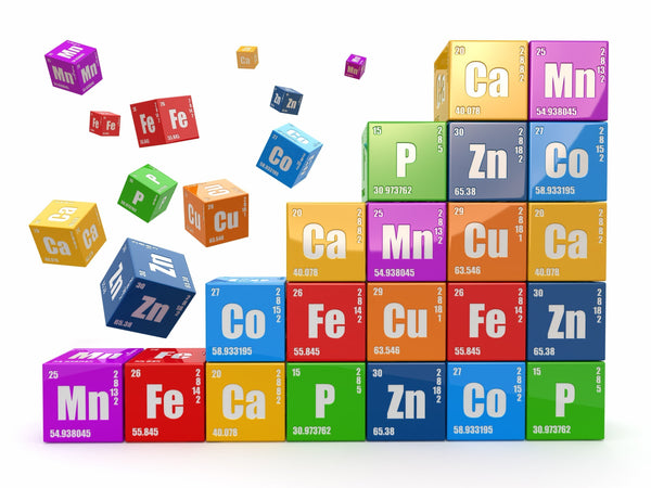 Top Science Apps to Download