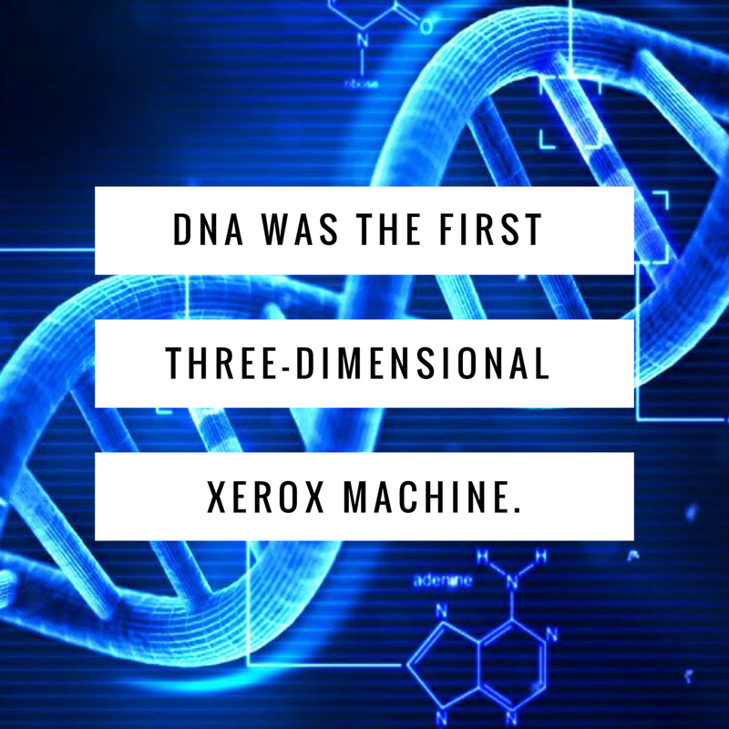DNA – The First 3-Dimensional Xerox Machine