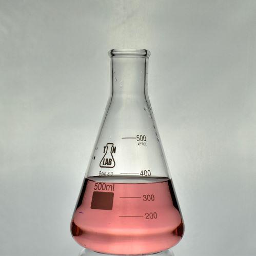 TN LAB Erlenmeyer Conical Flask Borosilicate Glass 500ml